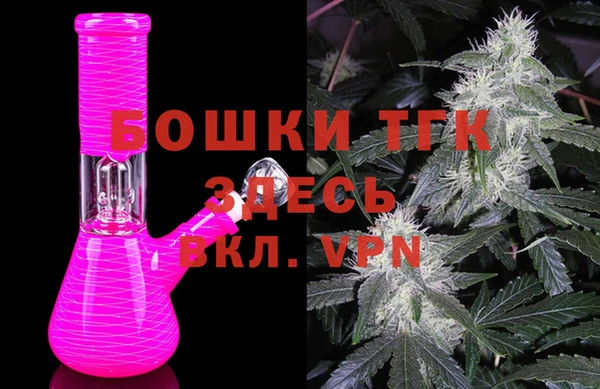 индика Кулебаки