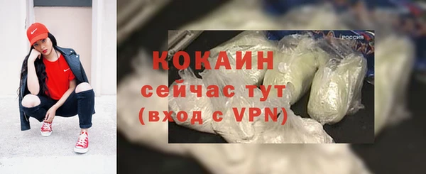индика Кулебаки