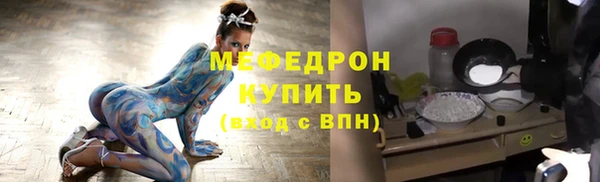 индика Кулебаки