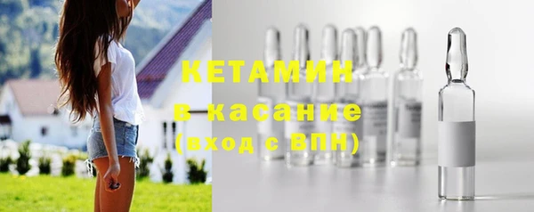 индика Кулебаки