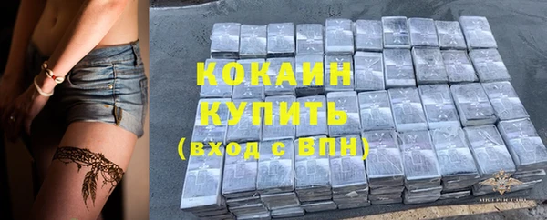 индика Кулебаки