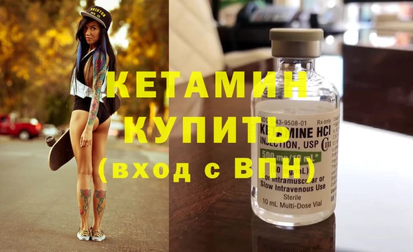 индика Кулебаки