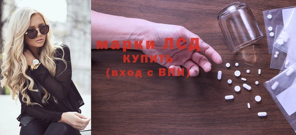 индика Кулебаки